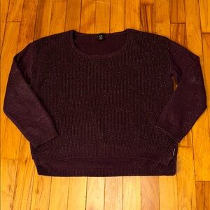 Calvin Klein Jeans Purple Sparkly Sweater